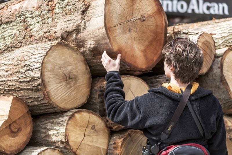 560 KM: A thousand logs on Sainte-Catherine Street, Montreal